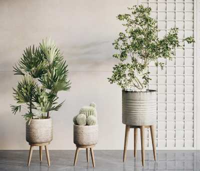 侘寂盆栽3D模型下载